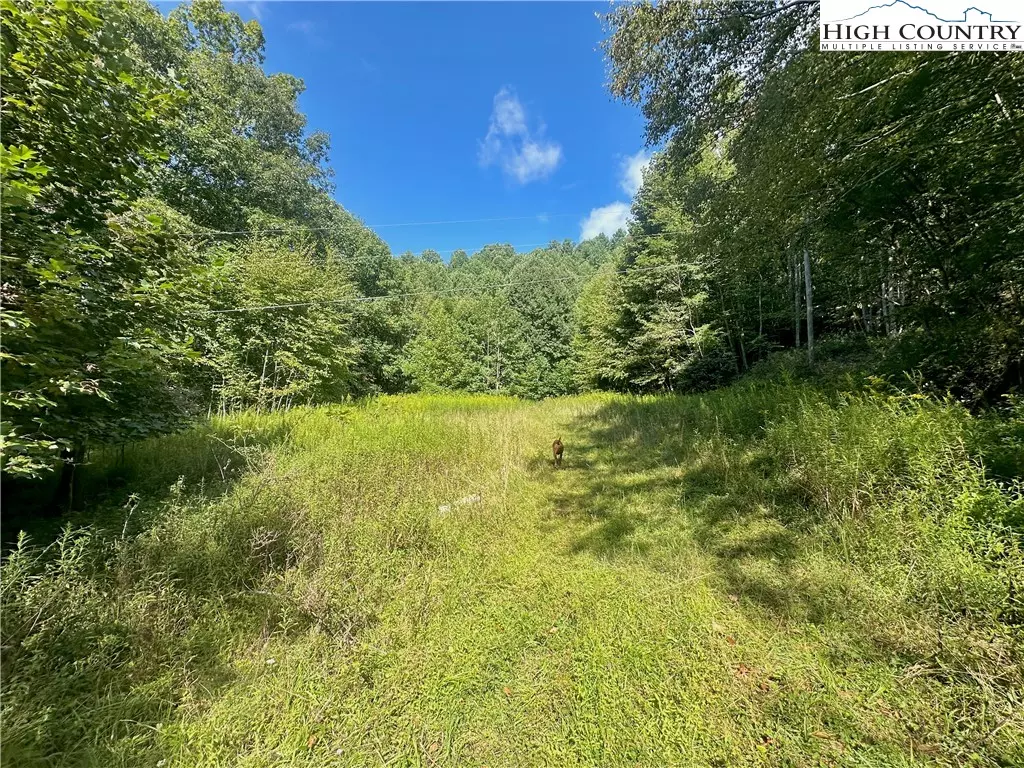Vilas, NC 28692,TBD Old Anderson Quarry RD