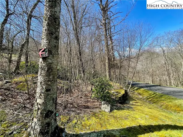 Blowing Rock, NC 28605,125 Stone Ledge LN