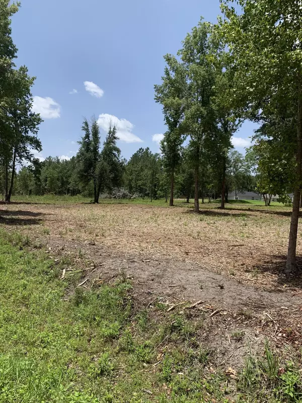 Callahan, FL 32011,44035 BREEZY LN