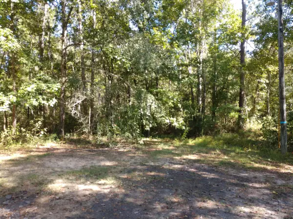 Middleburg, FL 32068,4819 ELIZABETH CT