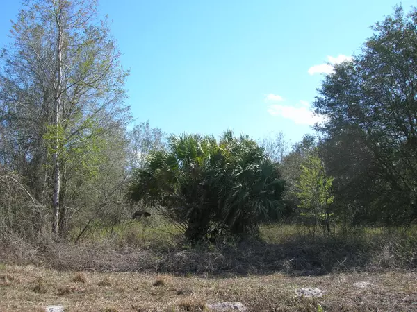 Chiefland, FL 32626,0 NW 28TH  LOT #12 LN