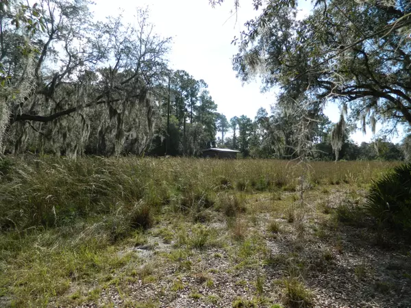 104 LONESOME TRL, Georgetown, FL 32139