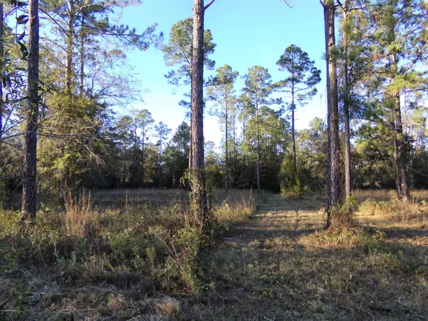 Middleburg, FL 32068,LOT 39 BRONCO RD