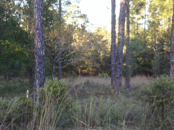 Middleburg, FL 32068,LOT 39 BRONCO RD