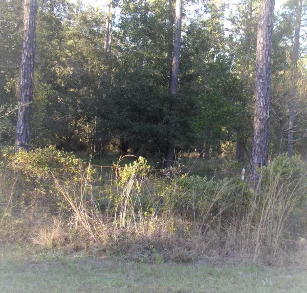 Middleburg, FL 32068,LOT 39 BRONCO RD