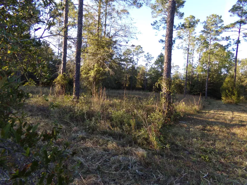 LOT 39 BRONCO RD, Middleburg, FL 32068