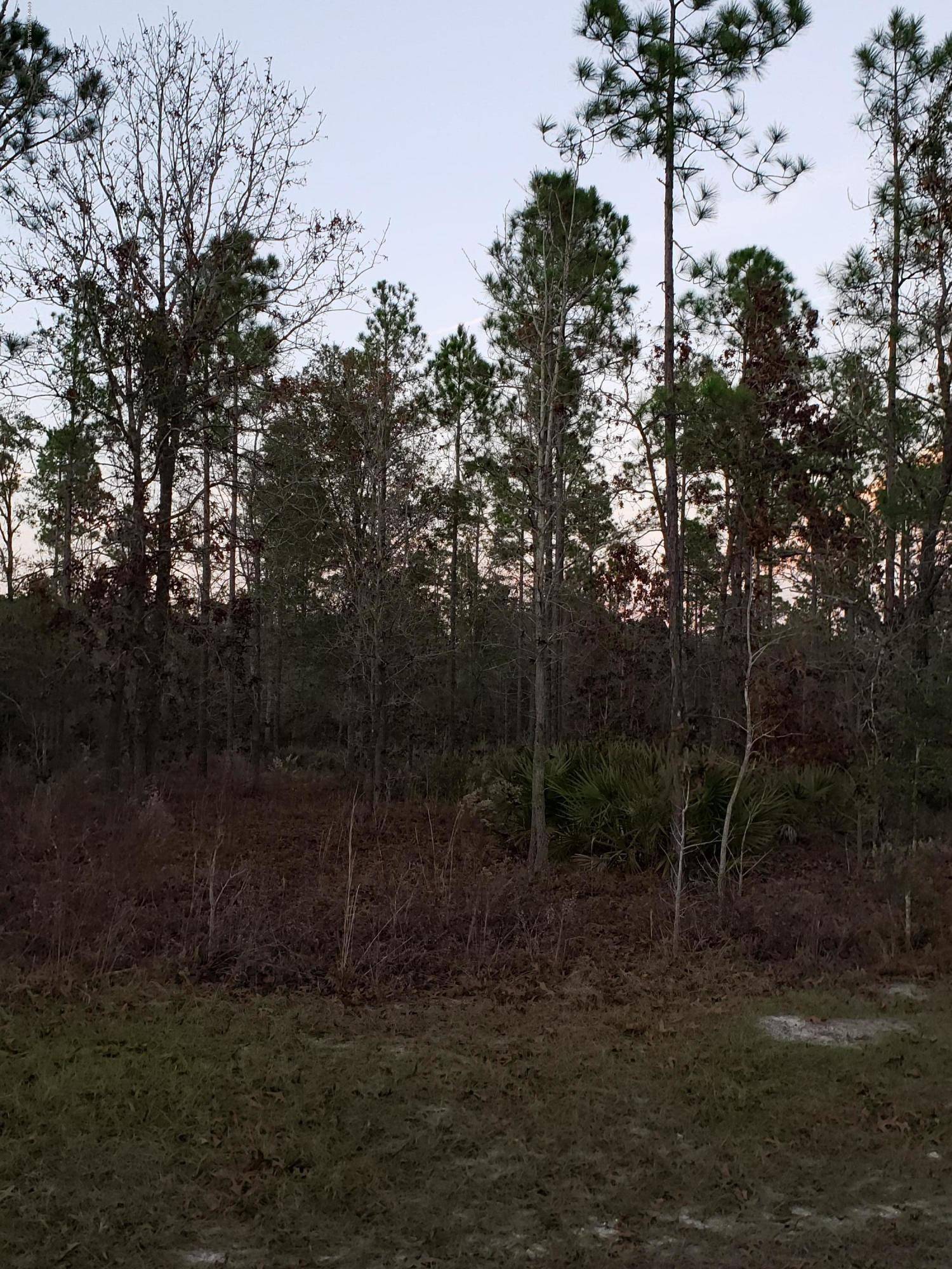 Bryceville, FL 32009,0 DEEP CREEK DR