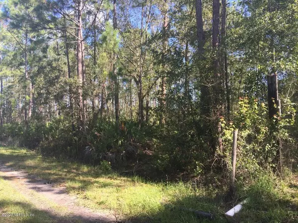 Middleburg, FL 32068,0 MCALLISTER RD