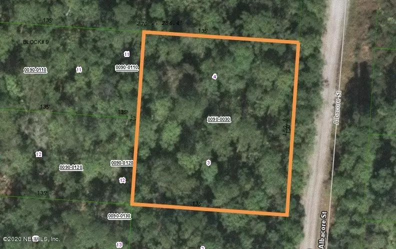 Satsuma, FL 32189,0000 ALBACORE ST