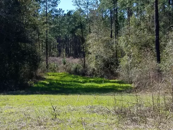 Greenville, FL 32331,VACANT SW TAYLOR COUNTY LINE RD