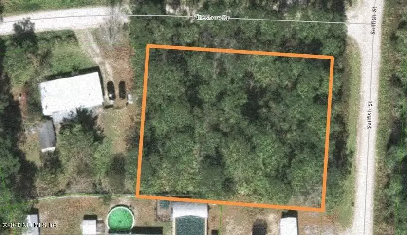 Satsuma, FL 32189,0000 PINESHORE DR