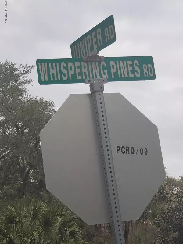 Georgetown, FL 32139,0 WHISPERING PINES RD