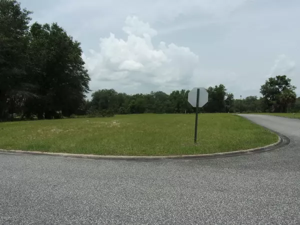 Welaka, FL 32193,000 VILLAGE DR