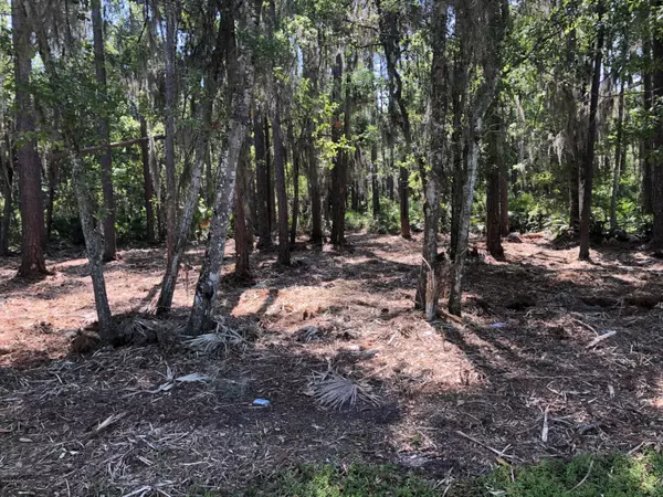 Palatka, FL 32177,571 WEST RIVER RD