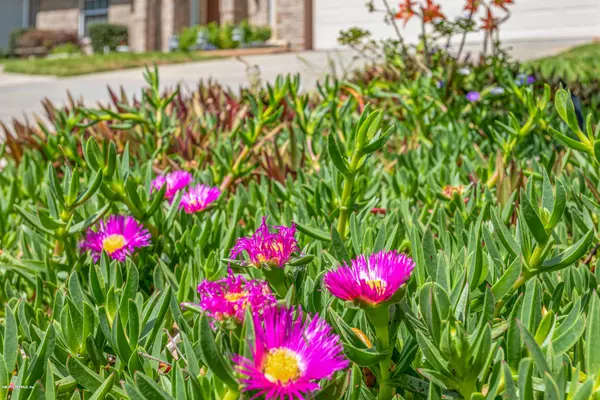 Jacksonville, FL 32225,12223 SPRINGMOOR ONE CT