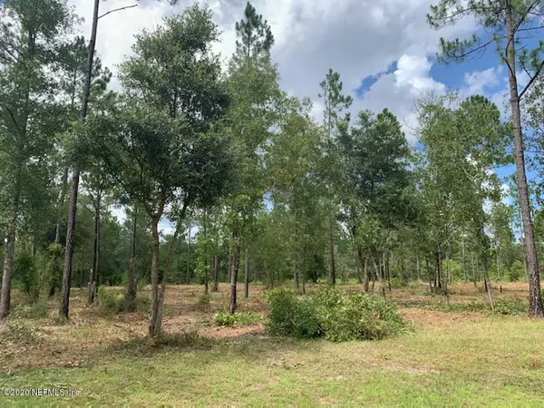 Bryceville, FL 32009,LOT 102 BULLOCK BLUFF RD