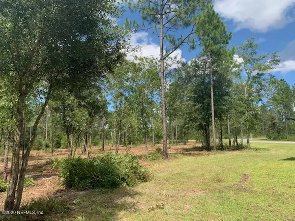 Bryceville, FL 32009,LOT 102 BULLOCK BLUFF RD