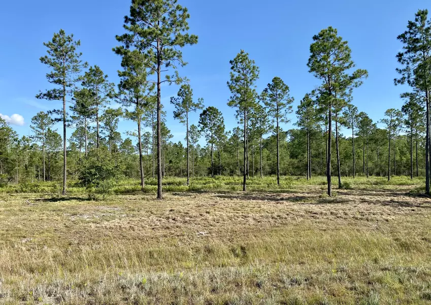 0 BRADY ACRES - LOT 8, Jacksonville, FL 32234