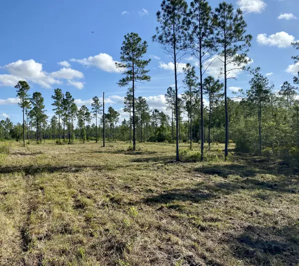 Jacksonville, FL 32234,0 BRADY ACRES - LOT 10