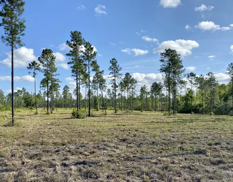 0 BRADY ACRES - LOT 10, Jacksonville, FL 32234