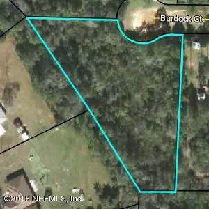 Middleburg, FL 32068,4630 BURDOCK CT