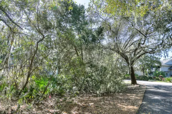 Fernandina Beach, FL 32034,LOT 168 ROYAL TERN RD