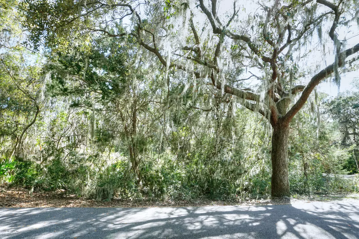 Fernandina Beach, FL 32034,LOT 168 ROYAL TERN RD