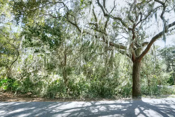 LOT 168 ROYAL TERN RD, Fernandina Beach, FL 32034