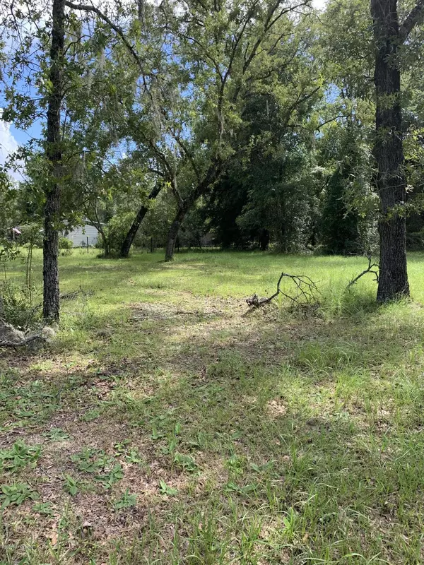 Middleburg, FL 32068,1926 FRIENDLY PL