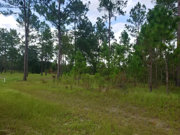 0 COUNTY ROAD 231, Lake Butler, FL 32054