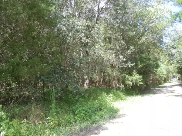 East Palatka, FL 32131,0 ROSIE LN