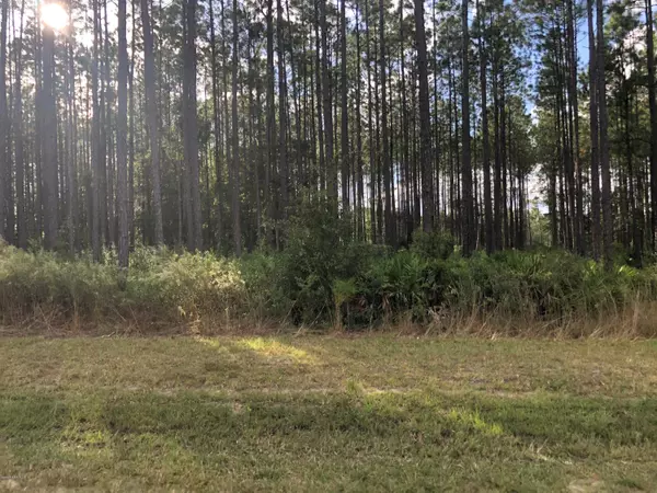 Bryceville, FL 32009,LOT 1 INGLE RD