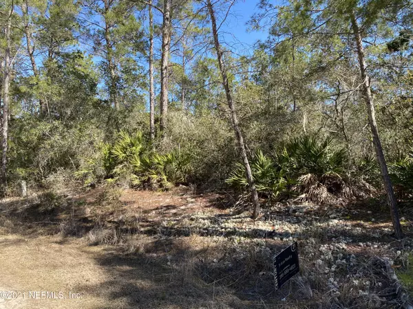 Georgetown, FL 32139,LOT 11 HIDEWAY LN