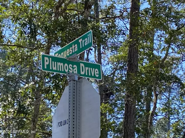 Georgetown, FL 32139,000 PLUMOSA DR