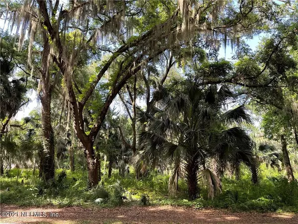 LOT 17 LITTLE PINEY ISLAND DR, Fernandina Beach, FL 32034