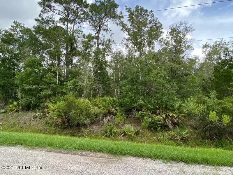 4816 JONATHAN ST, Hastings, FL 32145