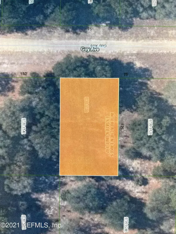 Interlachen, FL 32148,00 GUY AVE