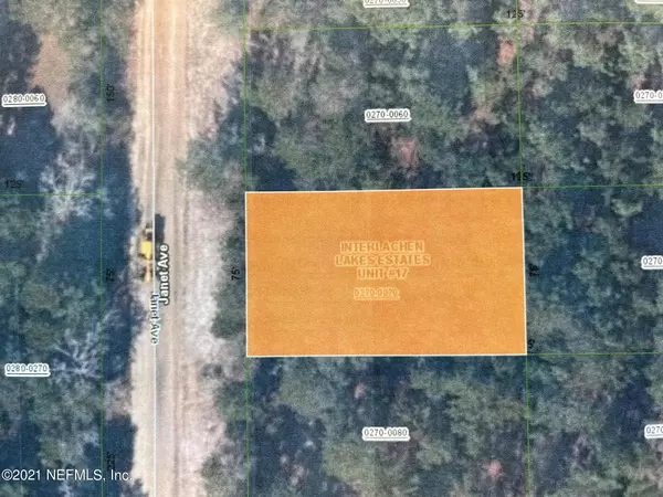 Interlachen, FL 32148,0 JANET AVE