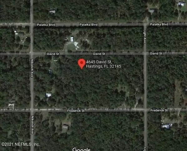 Hastings, FL 32145,4645 DAVID ST