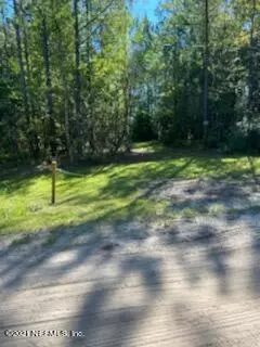 Middleburg, FL 32068,00 SILVER MOSS CIR