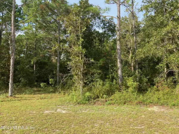 Middleburg, FL 32068,1966 GENTLE BREEZE RD