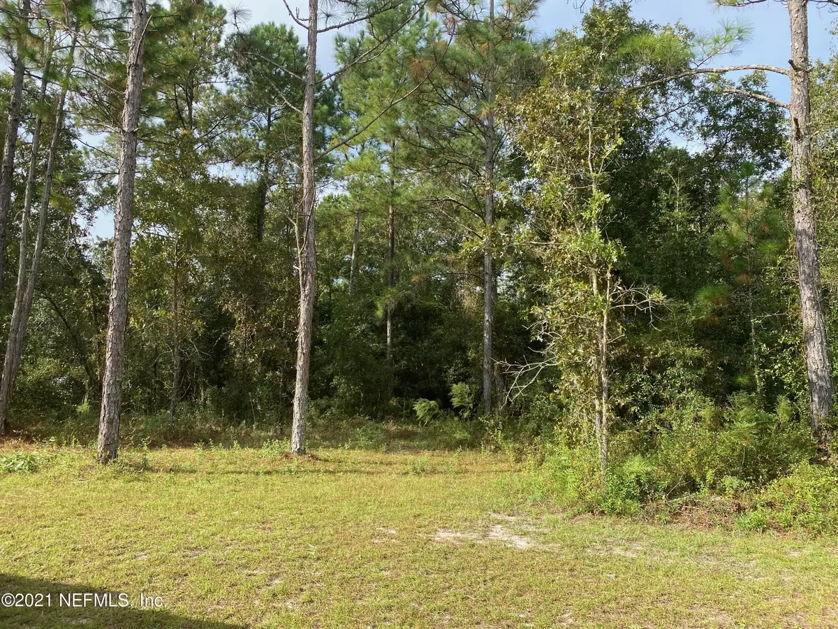 Middleburg, FL 32068,1966 GENTLE BREEZE RD