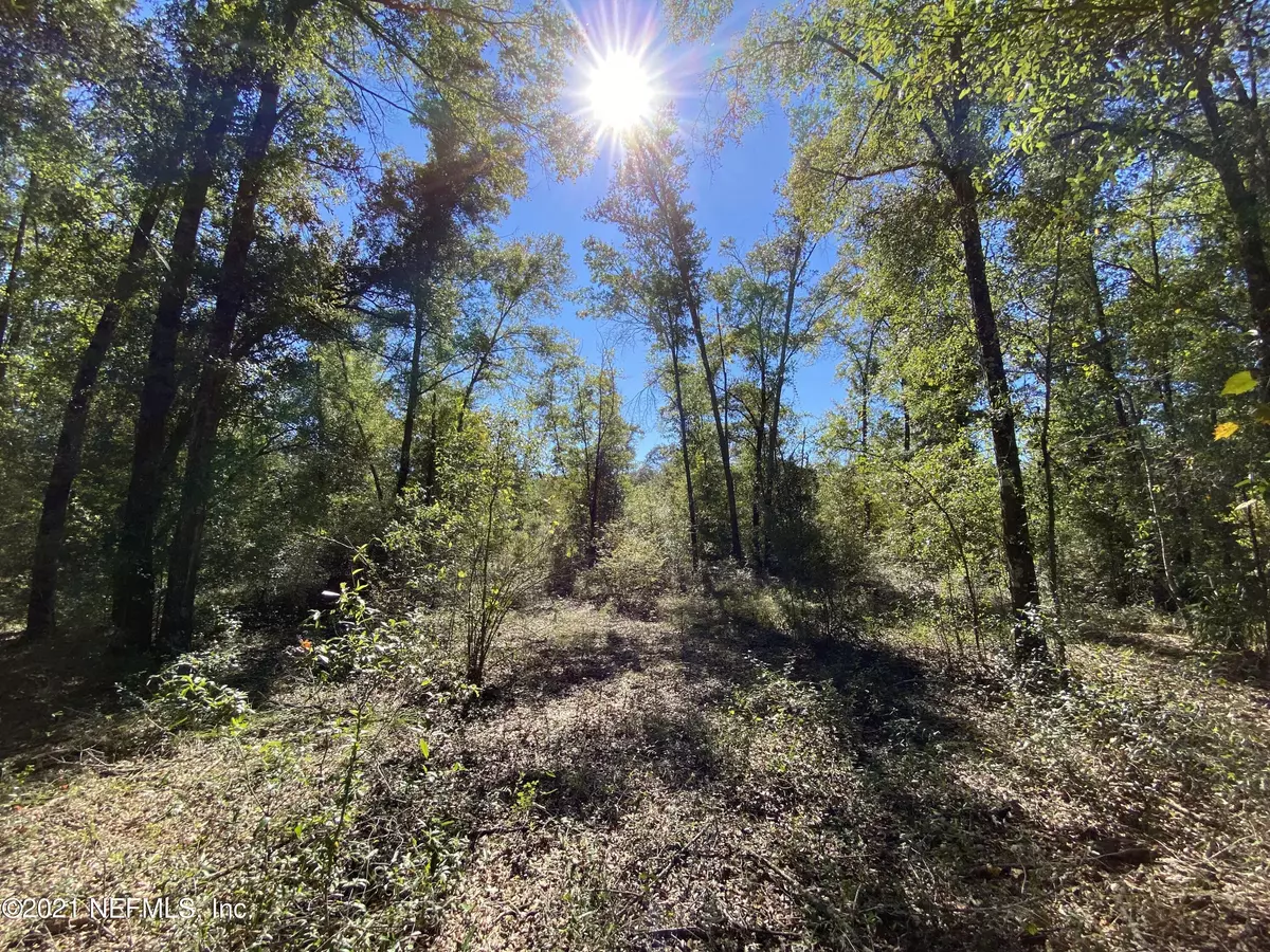 Live Oak, FL 32060,0 50TH ST