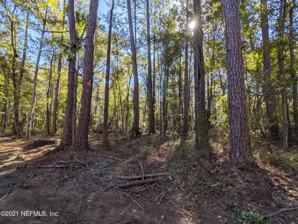 0 PEGGY LN, Middleburg, FL 32068