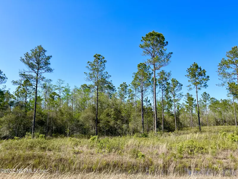 LOT 10  0 BRADY ACRES TRL, Jacksonville, FL 32234