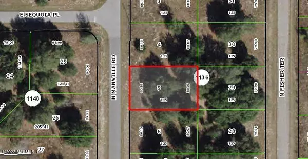 Citrus Springs, FL 34434,7641 N MANVILLE RD