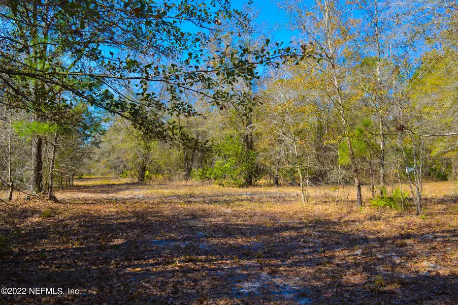 00 GEORGE MOSLEY, Maxville, FL 32234