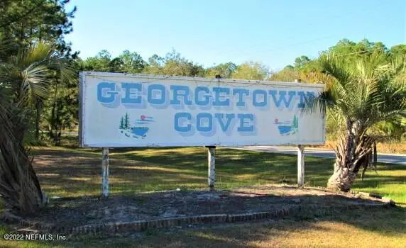 Georgetown, FL 32139,223 STELLA RD