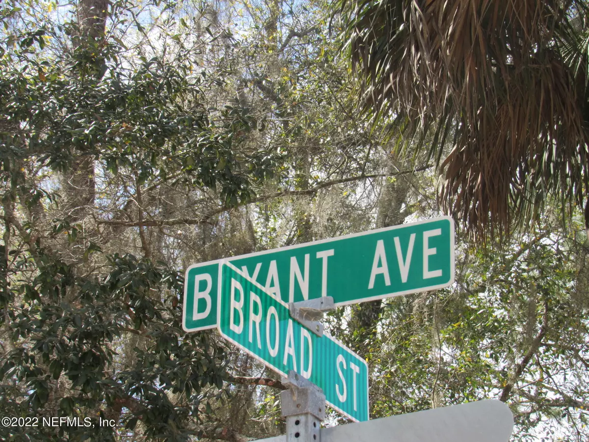 Welaka, FL 32189,1132 BRYANT AVE