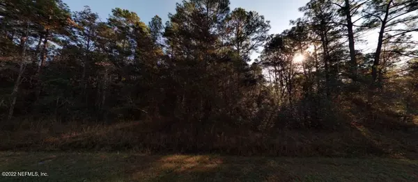 Hastings, FL 32145,10570 FLIKKEMA AVE